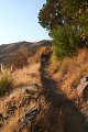 IMG_8257