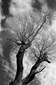IMG_7678bw