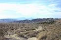 1000palms2A