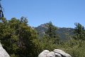 IMG_7031