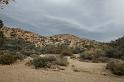 IMG_7409A