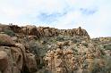 IMG_7421A