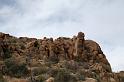 IMG_7422A