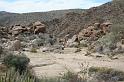 IMG_7425A