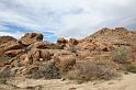 IMG_7426A
