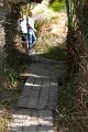 IMG_4113