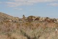 IMG_4119