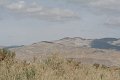 IMG_4120