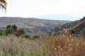 IMG_4121