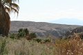 IMG_4122