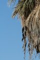 IMG_4133