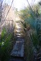IMG_7641