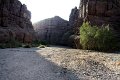 IMG_1635