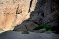 IMG_1638