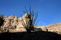 IMG_1675