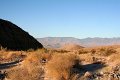 IMG_4317