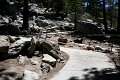 IMG_6818