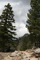 IMG_7979
