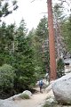 IMG_7997_1