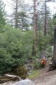 IMG_8000_1