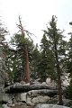 IMG_8004_1