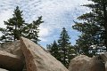 IMG_8008_1