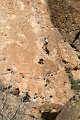 IMG_3908