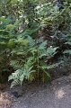 IMG_7088