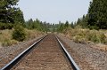 IMG_7103