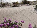DSCN2949