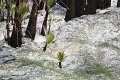 IMG_4778
