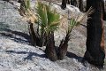 IMG_9558