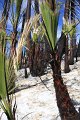 IMG_9559