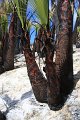 IMG_9560